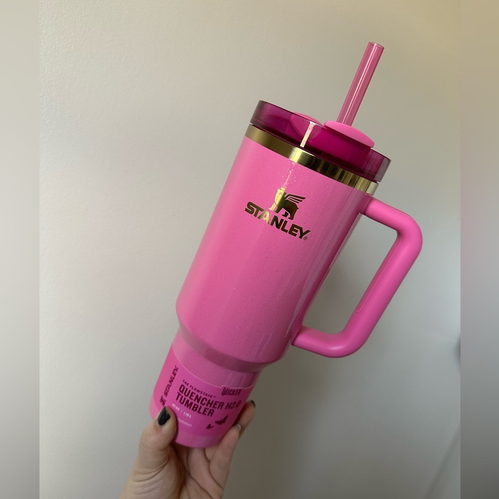 Stanley Wicked 40oz